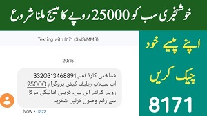 Ehsaas Program CNIC Check Online